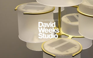 LUCI + DAVID WEEKS