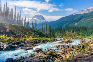 Our Favorite National Parks