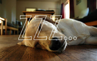 You’re Doing It Wrong: 4 Sleep Myths