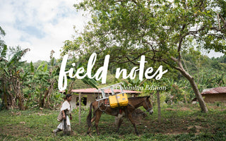 Field Notes: Up Into The Andes