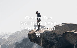 Interview with an Insider: Yosemite National Park