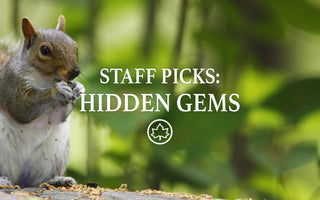 Emerald City – Our favorite lesser-known NYC parks