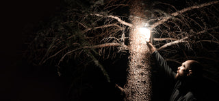 Mini Footprint, Mighty Light