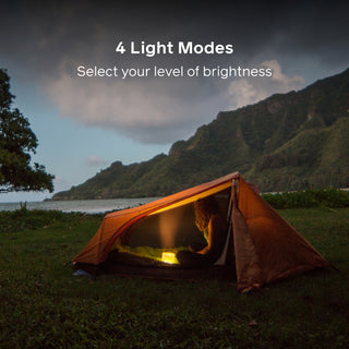 Luci Original Matte