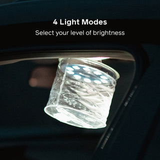 Luci Original Clear