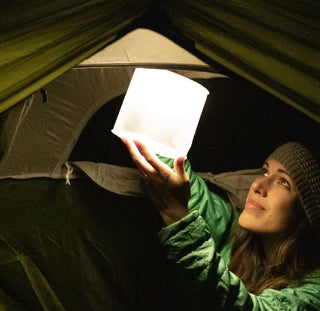 Explore the Luci Lineup
