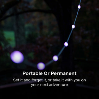 Solar String Lights: 44' Color