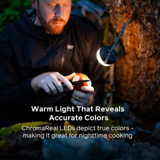 AlpenGlow Mini 4 Pack - BioLite